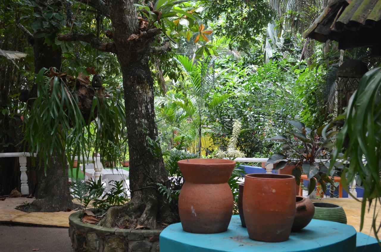 Amanwana Ecofinca Hotel Melgar Luaran gambar