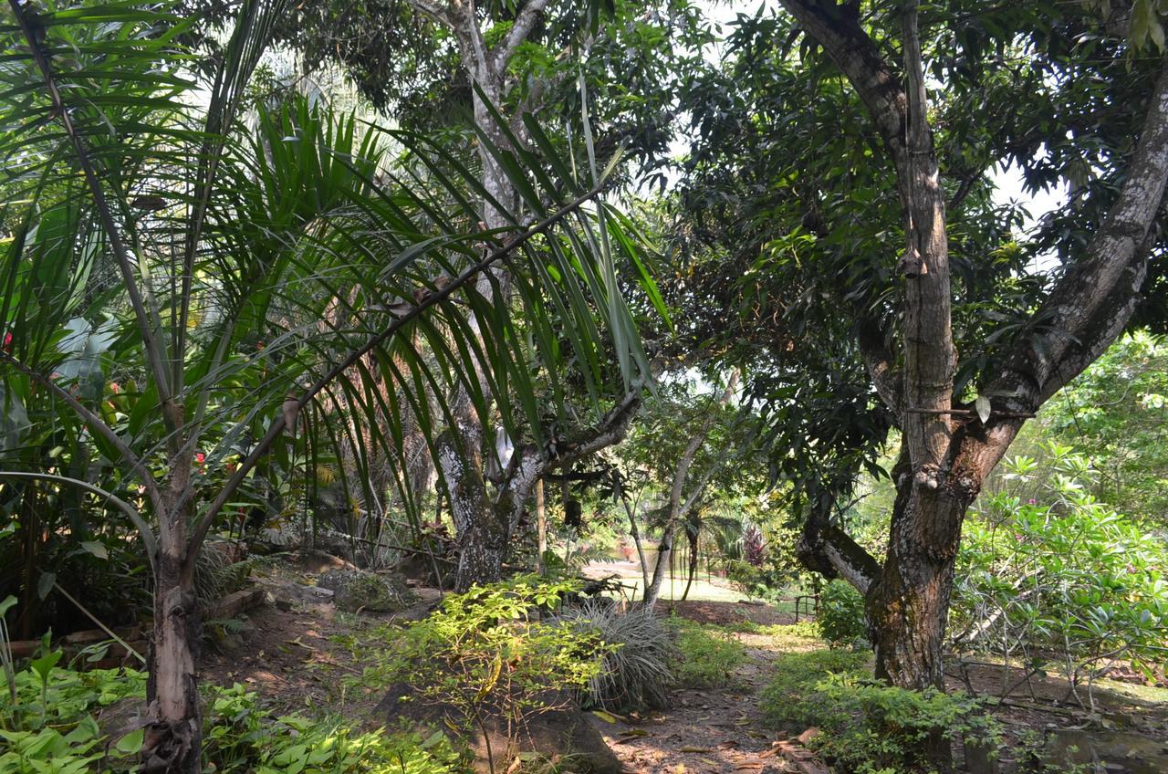 Amanwana Ecofinca Hotel Melgar Luaran gambar