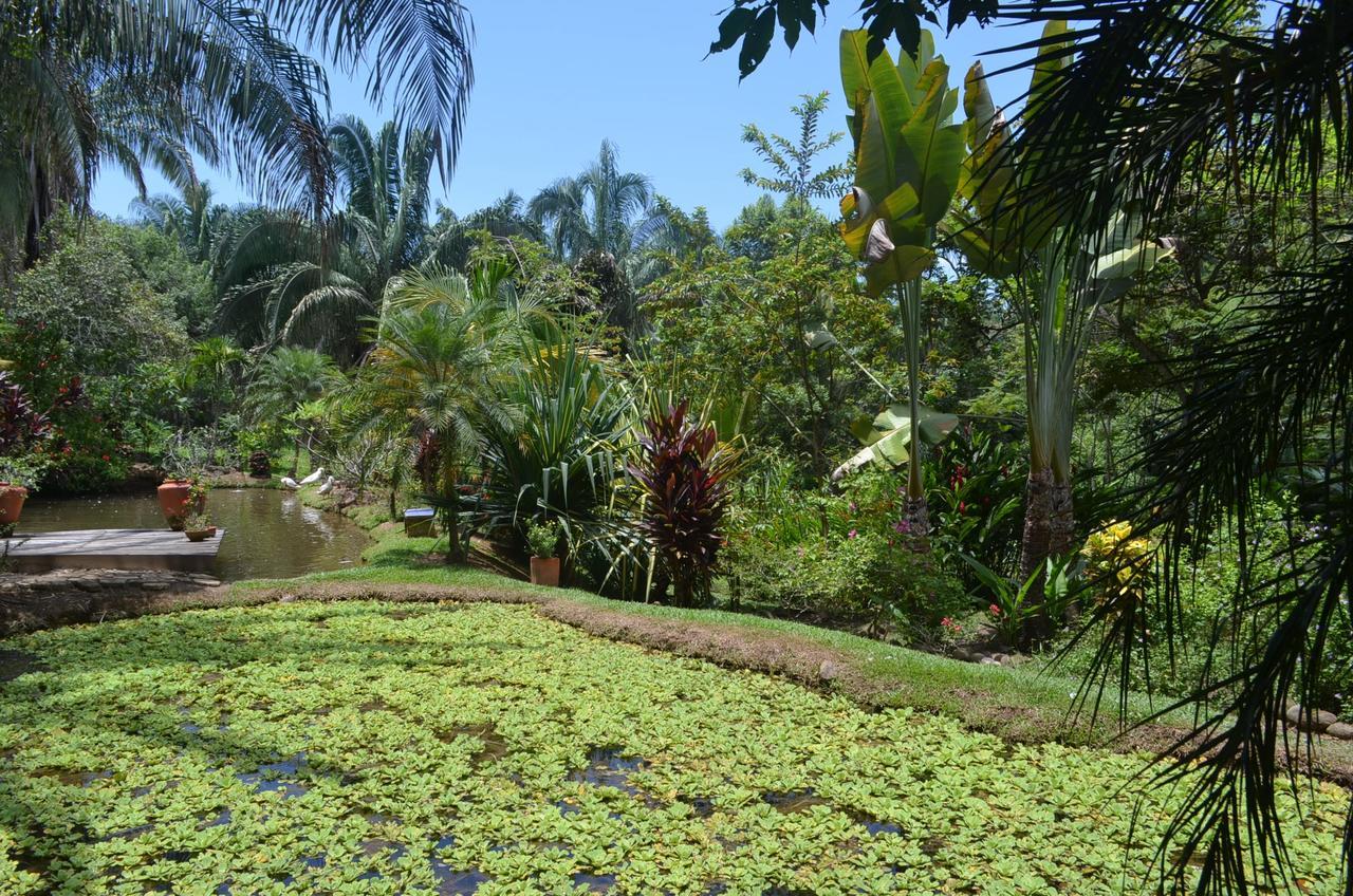 Amanwana Ecofinca Hotel Melgar Luaran gambar