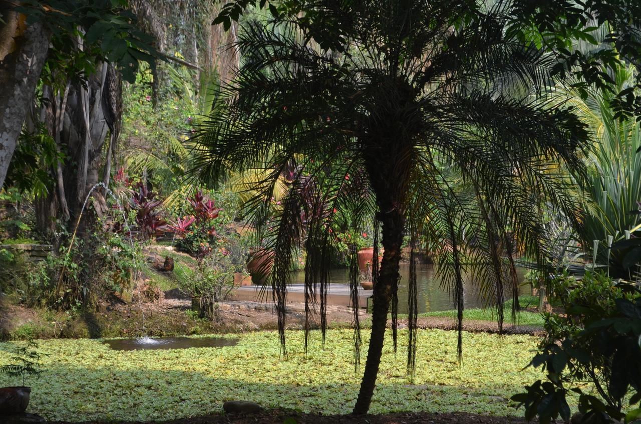 Amanwana Ecofinca Hotel Melgar Luaran gambar