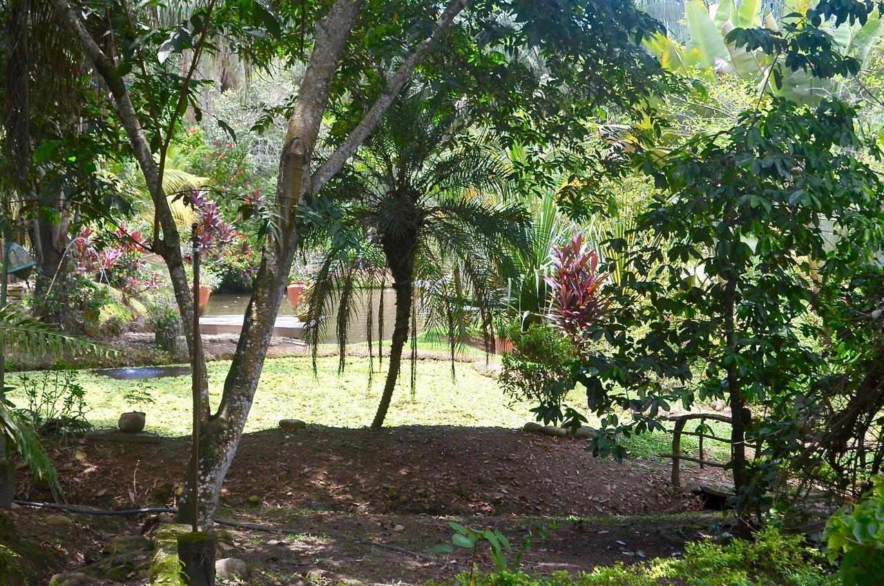 Amanwana Ecofinca Hotel Melgar Luaran gambar